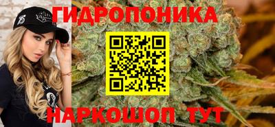 ECSTASY Моздок
