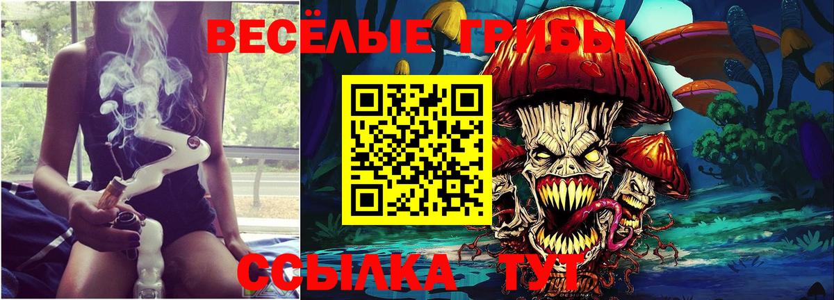 Псилоцибиновые грибы мухоморы Элиста