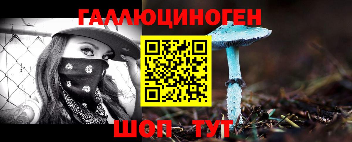 Элиста  Галлюциногенные грибы MAGIC MUSHROOMS  Вход с VPN  купить наркотик  Галлюциногенные грибы мицелий 