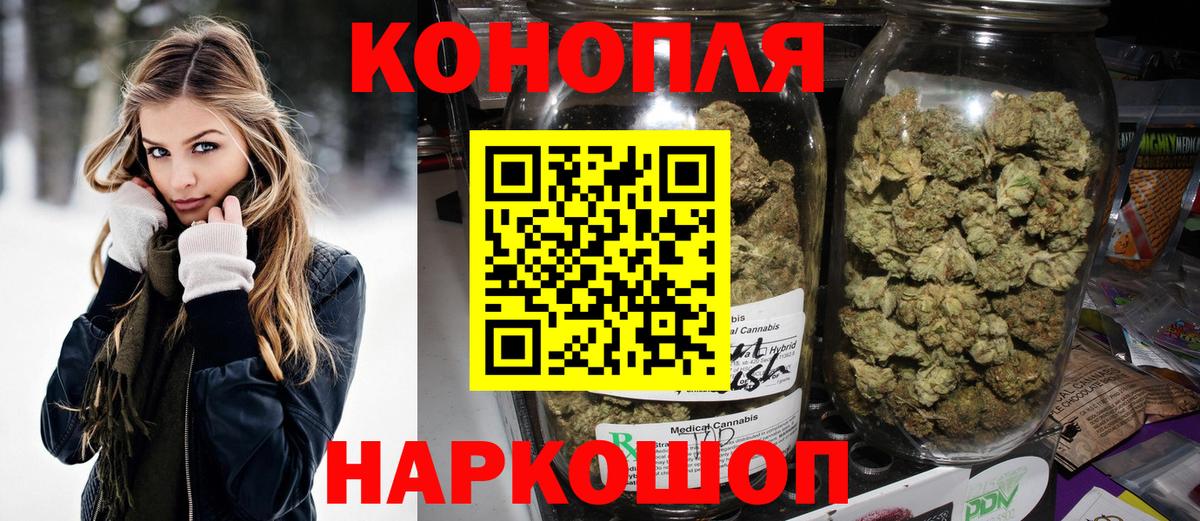 Конопля OG Kush Элиста
